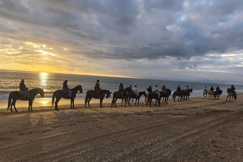 Mazagon: Horseback Riding Experience at Sunset in Doñana