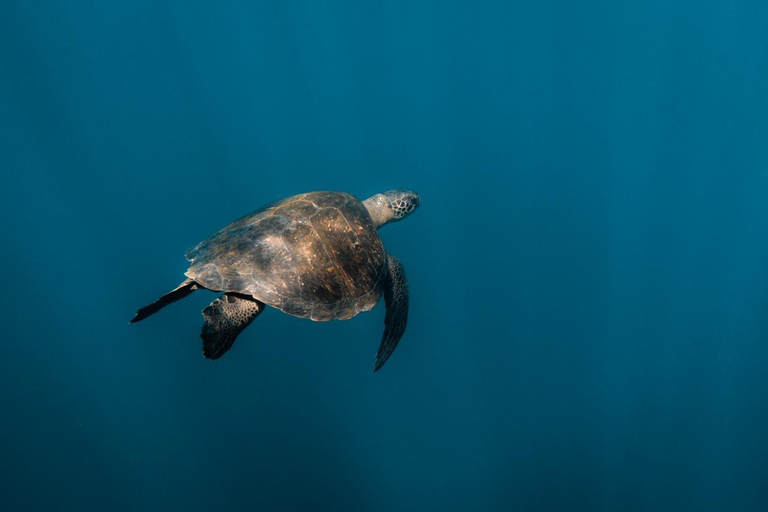 San Cristóbal: Vuelta 360 a la isla con snorkel