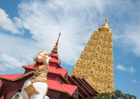 Varanasi到Bodhgaya，精神探索的一天 - Housity