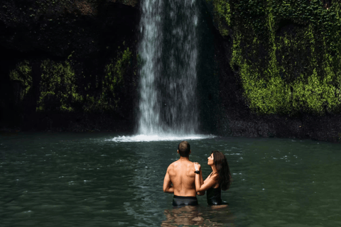 Bali: Ubud Swing und Wasserfall Tagestour mit MittagessenAffenwald, Tegenungan Wasserfall &amp; Kaffeeplantagen Tour