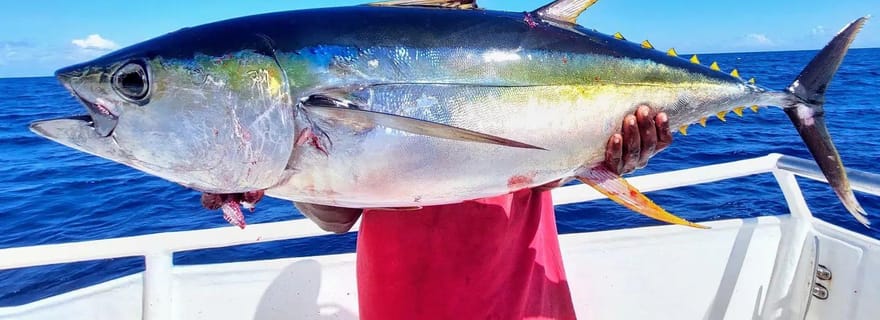 EXPÉRIENCE DE PÊCHE AU ZANZIBAR