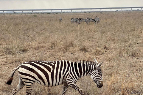 Nairobi National Park: Early Morning or afternoon adventure Early morning game drive in a Landcruiser JEEP