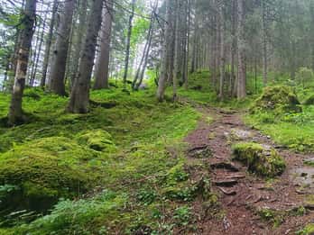 Lauterbrunnen: Private Walking Tour with an Irish Guide