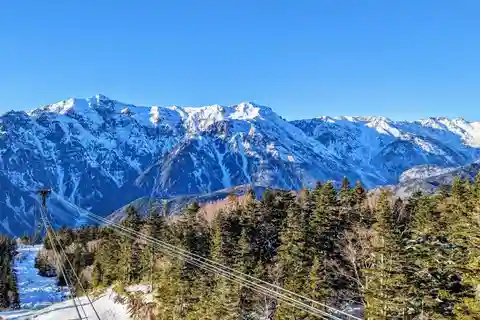 Tour de 1 dia saindo de Takayama: Vila popular de Hida, cavernas e teleférico