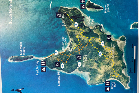 South Molle Island Camping Transfer