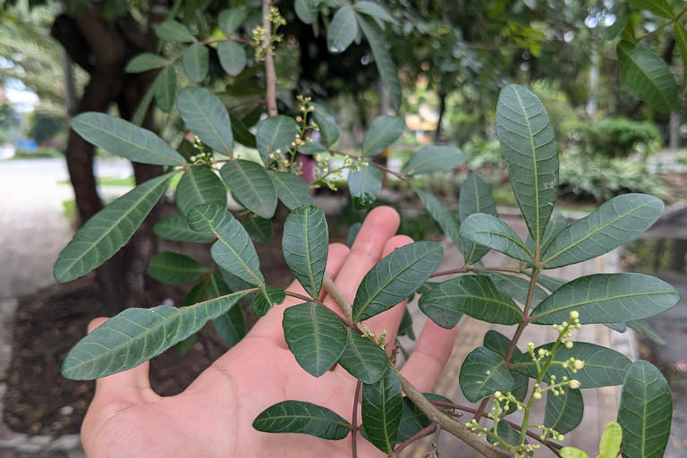 COP16: Descobre Cali através das suas maravilhas naturais