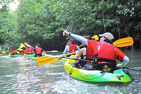 San Juan: El Yunque Rainforest en Bio Bay Combo Tour