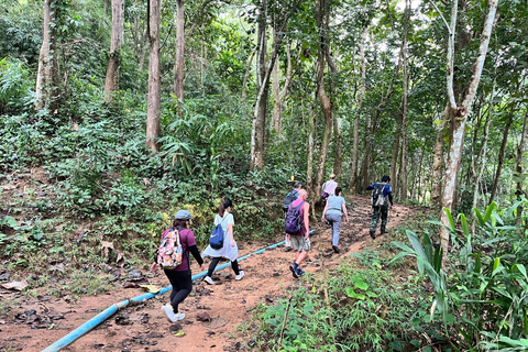 Chiang Rai: Jungle Adventure-Group Trekking & Bamboo Cooking