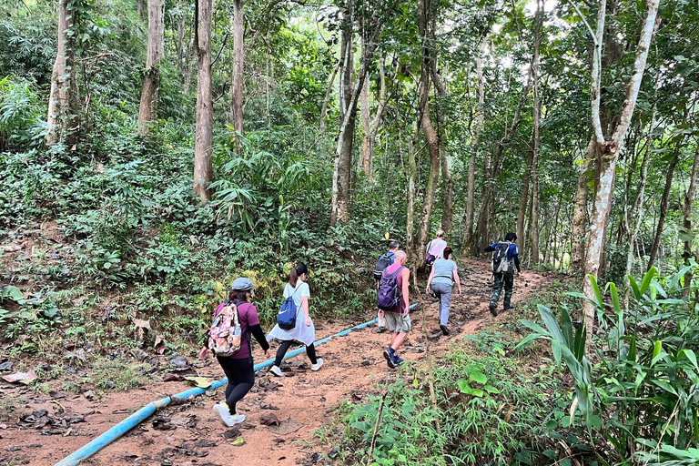 Chiang Rai: Jungle Adventure-Group Trekking & Bamboo Cooking