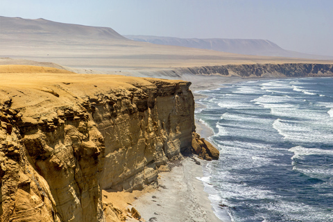 From Lima: Paracas Reserve & Nazca Lines Flight from Pisco