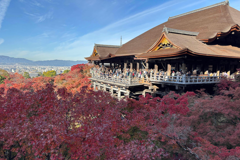 Kyoto: Higashiyama Premium E-Bike Tour with guide