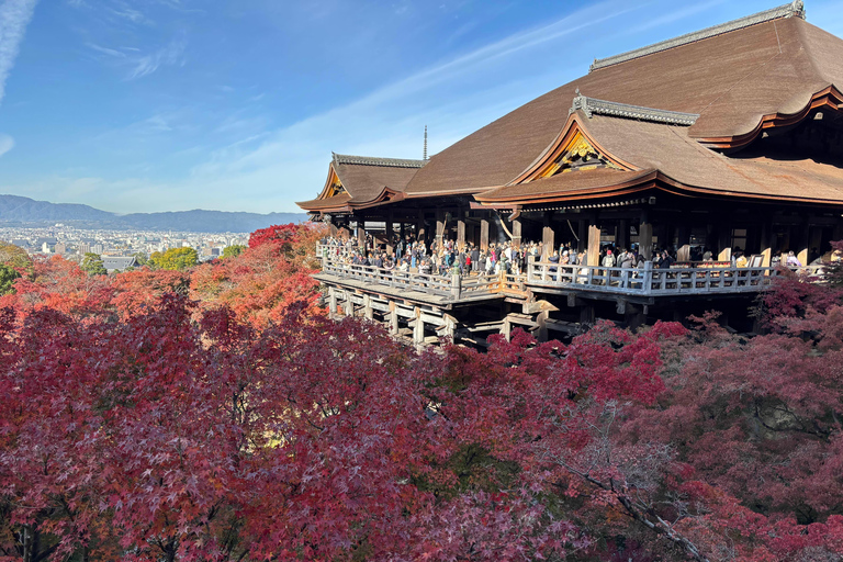 Kyoto: Higashiyama Premium E-Bike Tour with guide