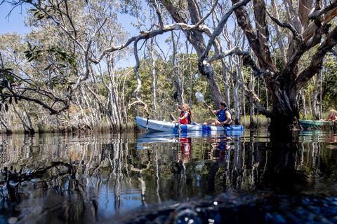 Bribie Island: Sea to Table 4WD, Kayak, & Seafood Lunch Tour
