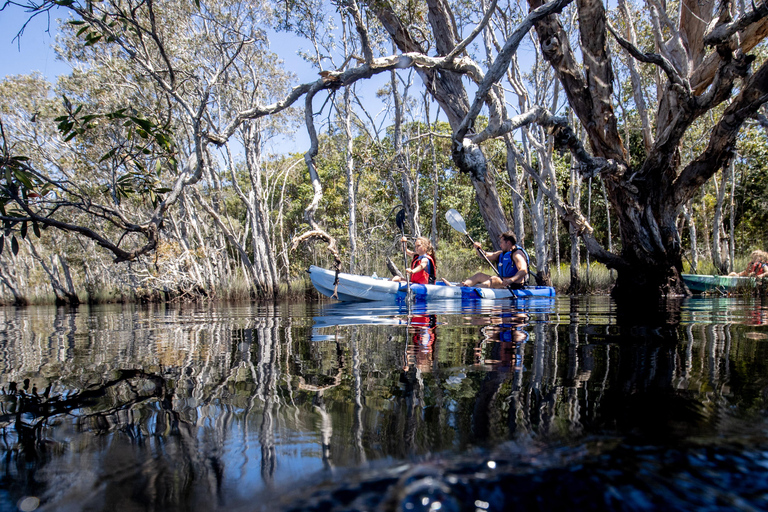 Bribie Island: Sea to Table 4WD, Kayak, & Seafood Lunch Tour
