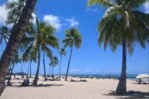 Puerto Plata: Whale Watching & Bacardi Island Day Trip