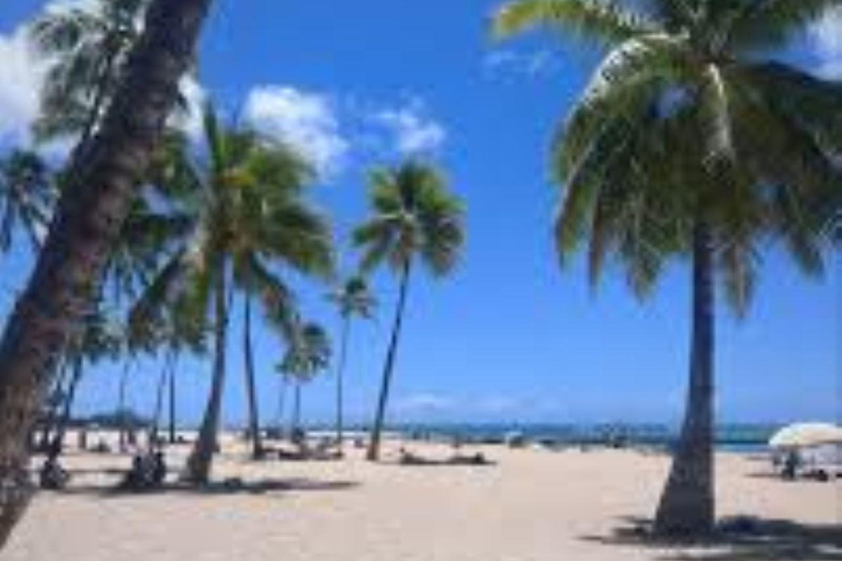 Puerto Plata: Whale Watching & Bacardi Island Day Trip