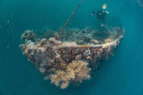 Coron: 3-Day Adventure with Busuanga Reefs and Wrecks Tour