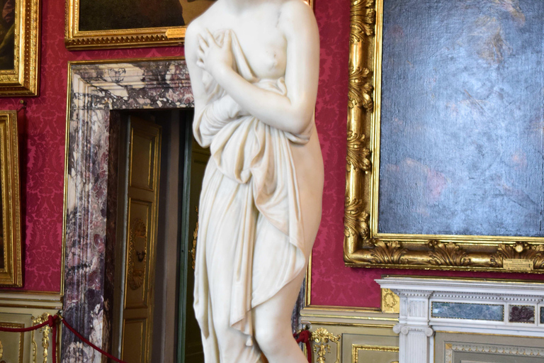 Florence: Pitti Palace 7 Museums Entrance Ticket & eBook