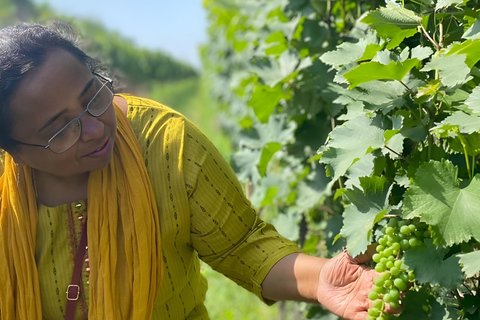 Tbilisi: Private Kakheti Wine Tour & Sighnaghi Great Wall