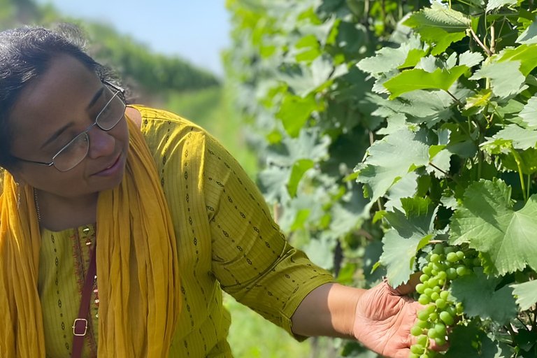 Tbilisi: Private Kakheti Wine Tour & Sighnaghi Great Wall