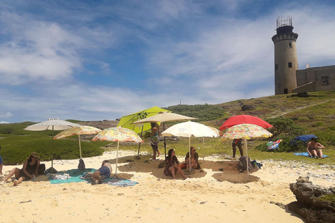 Ile aux Cerfs Speedboat Trip with Pickup and BBQ Lunch