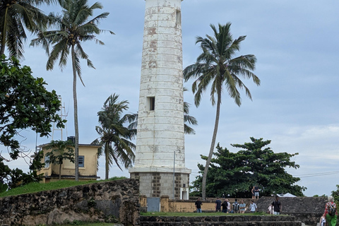 From Colombo: Day trip to Galle Dutch Fort & Turtle Beach