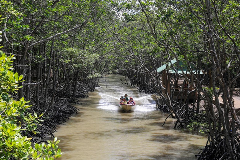 Von Ho Chi Minh Stadt aus: Tagestour zur Affeninsel Can Gio