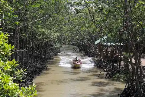 Ciudad Ho Chi Minh: Excursión de un día a la Isla de los Monos de Can Gio con almuerzo