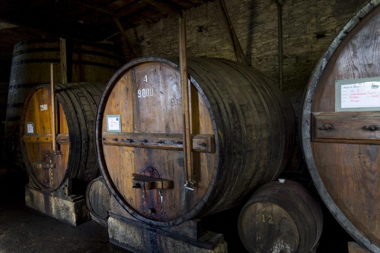 Régua: Prova de vinhos em Quinta, Almoço Tradicional, Cruzeiro e Comboio