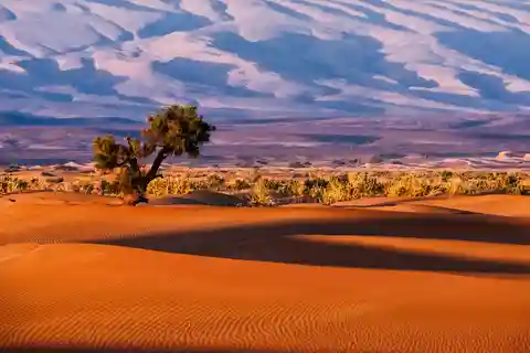 3-Day Desert Safari to Merzouga