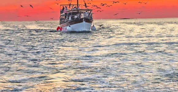 Fazana: Umweltfreundliche Brijuni-Delfine mit Abendessen und Getränken