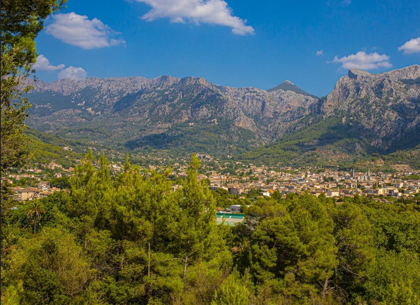 Fra Alcúdia: Halvdagstur med tog og sporvogn til Soller