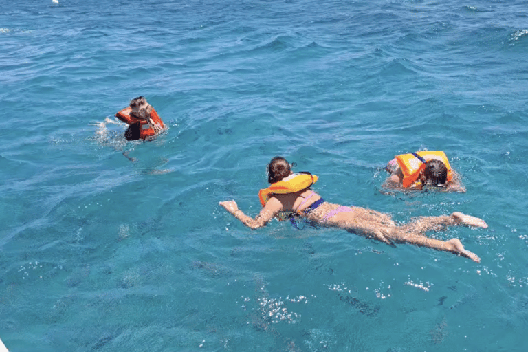 Isola di Lobos: Tour guidato alla ricerca delle tartarughe e snorkeling