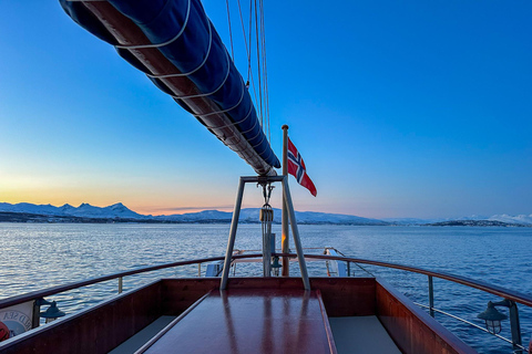 Tromsø : Croisière dans les fjords pour la pêche et les fruits de mer dans l'Arctique à bord d'un yacht de luxeTromsø : Croisière de luxe pour la pêche et les fruits de mer