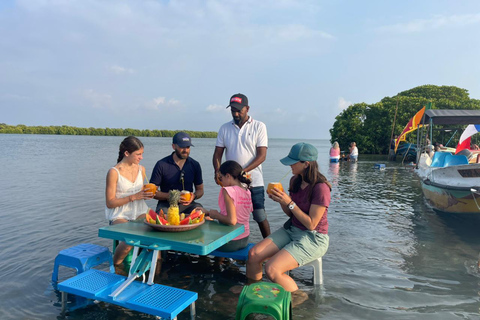From Negombo: Boat Tour of Negombo Lagoon