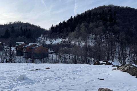 Depuis Tbilissi : Excursion d&#039;une journée à Bakuriani et Borjomi