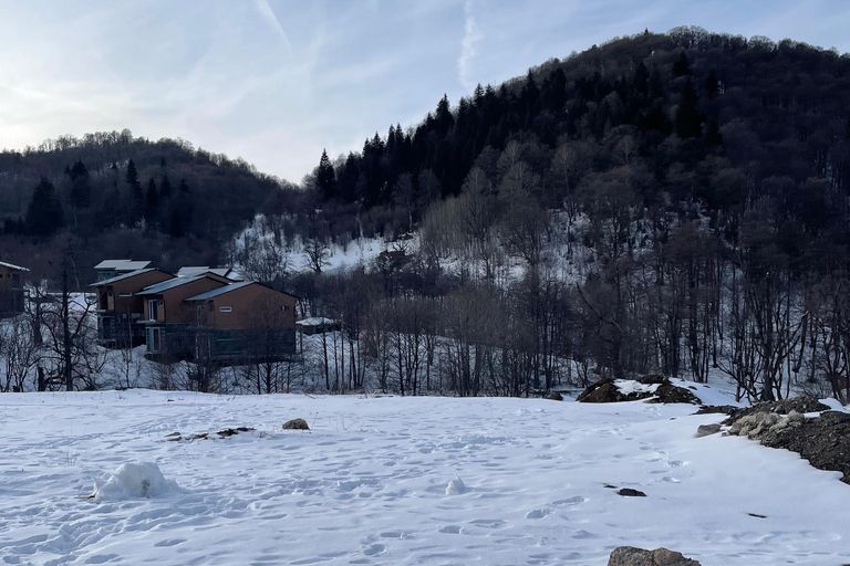 Depuis Tbilissi : Excursion d&#039;une journée à Bakuriani et Borjomi