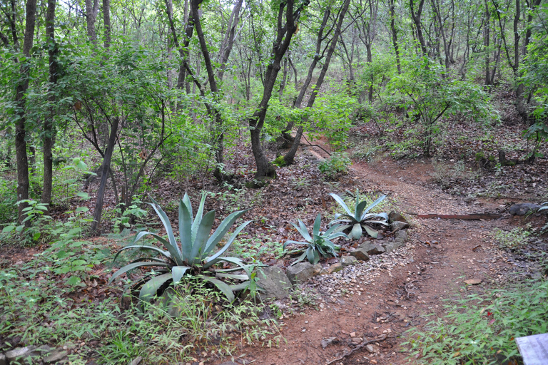 Senderismo en el parque Nacional Benito Juárez