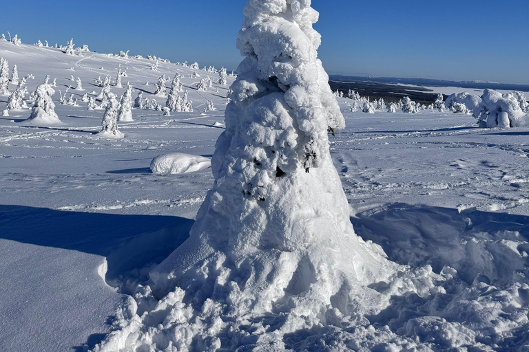 جولة ليوم كامل في منتزه ريسي تونتو ري الوطني من روفانييمي