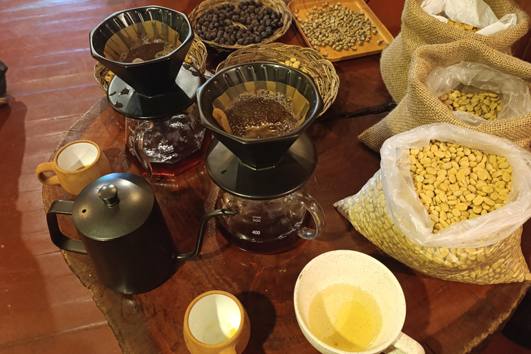 Cusco: Specialty Coffee Tasting-Sensory Experience (2 Hours)