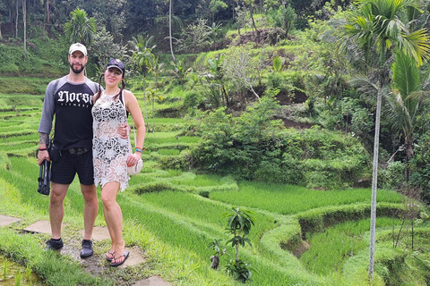 乌布猴林、梯田、秋千、寺庙和瀑布乌布猴林、水稻梯田、秋千、寺庙和瀑布