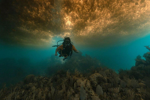 Desde Cancún: Aventura de Buceo en Puerto MorelosPuerto Morelos: Aventura de buceo