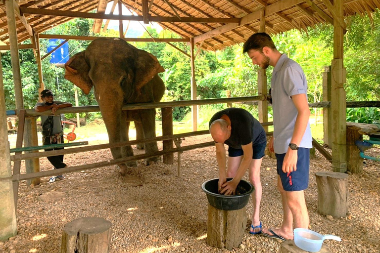 Khao Lak: Khao Sok Elephant Sanctuary and Night Jungle Walk Khao Sok Elephant Sanctuary and Night Jungle Walk
