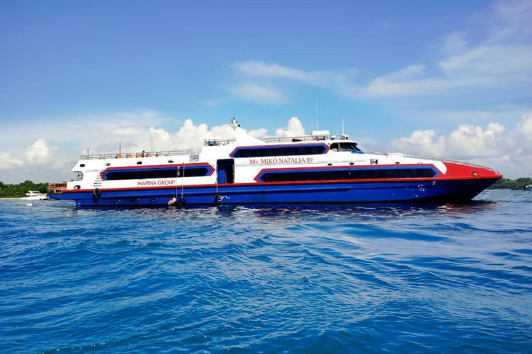 Gili Trawangan: Fast Boat Transfer to Serangan, Bali