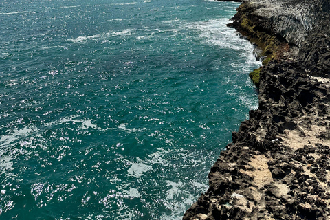 Tour privato Elite di un giorno - Attrazioni principali di Salalah