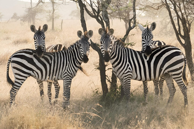 12 jours de voyage de noces de luxe en Tanzanie et Zanzibar