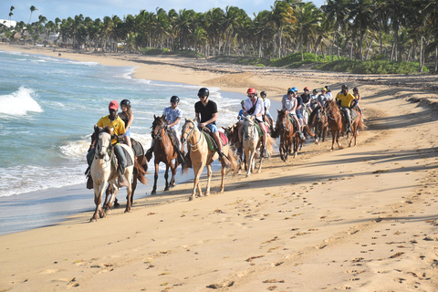 Punta Cana: Relaxed Beginner Horseback Ride on Uvero Beach. Afternoon 2 Hour - Horseback Riding