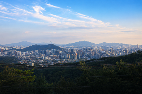 Seoul: Private Easy DMZ Tour | Family & Seniors DMZ Odusan Observatory (EASY)