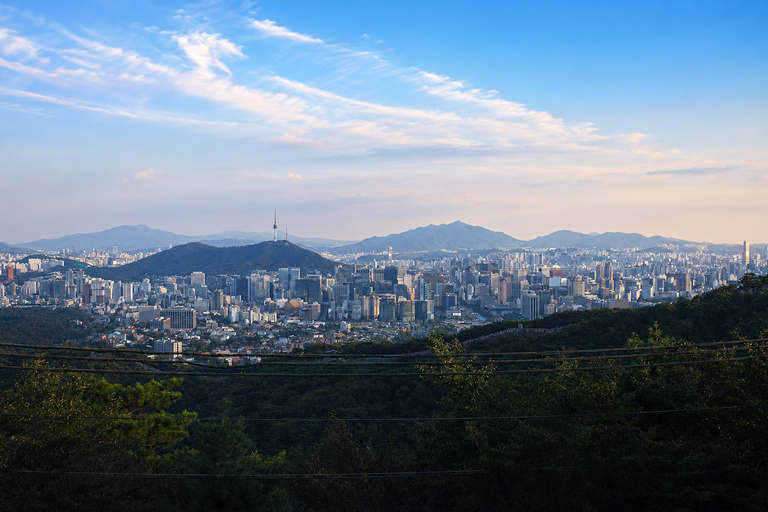 Seoul: Private Easy DMZ Tour | Family & Seniors DMZ Odusan Observatory (EASY)