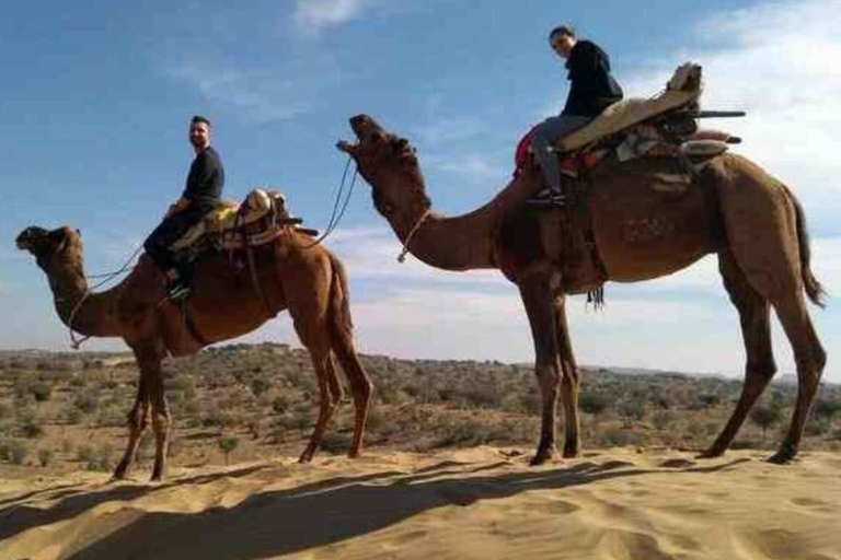 Excursion d'une journée à dos de chameau depuis JodhpurSafari à dos de chameau + safari en jeep